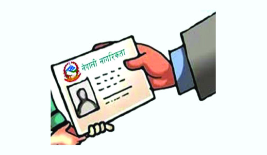 नागरिकता लिनेको घुइँचो