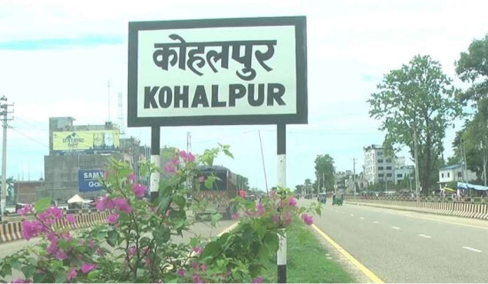 हरित नगर बन्दै कोहलपुर
