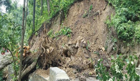 पहाडी क्षेत्रमा पहिरोले यातायात बन्द