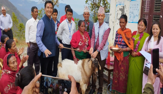 विपन्न बस्तीमा मुख्यमन्त्री कार्यक्रम