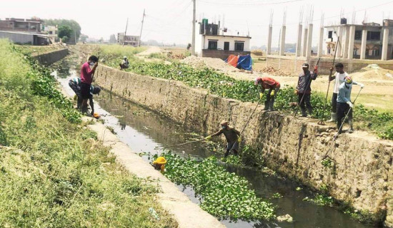 नेपालगन्जलाई डुबानबाट जोगाउन नाला र ढलको निकास खोलियो