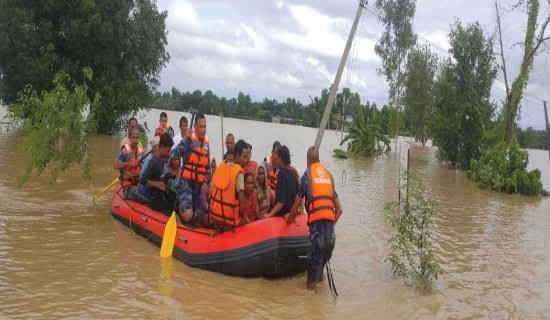 बनेन विपत् प्रतिकार्य योजना