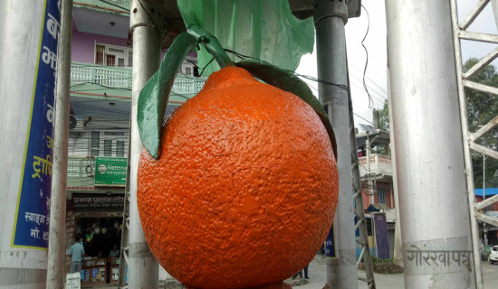 स्याङ्जा पुतलीबजारमा सुन्तलाको प्रतिमा