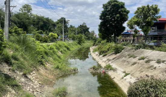 लिफ्ट सिँचाइ आयोजना सञ्चालन अभावमा रोपाइँ हुन सकेन