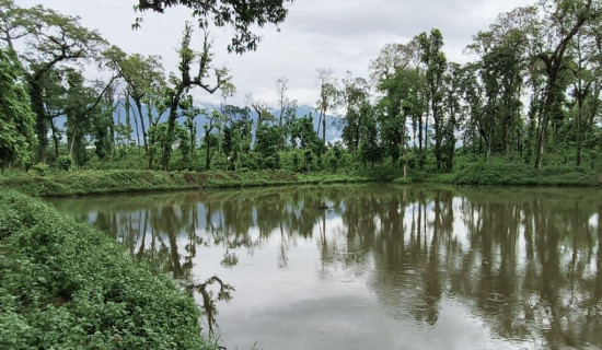 वन्यजन्तुका लागि सामुदायिक वनमा पोखरी