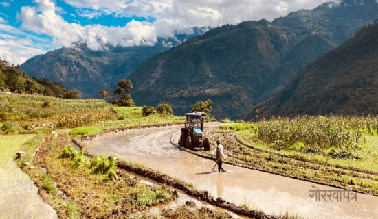 ट्याक्टरले खेत जोत्दै