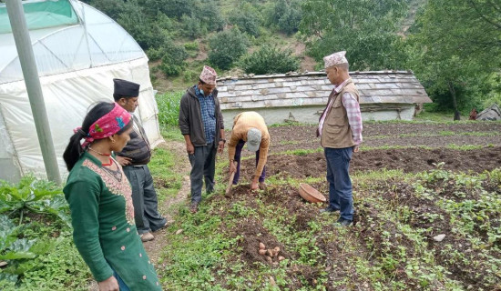 अब मजदुरी गर्न भारत जाँदैनन् आनन्दपुरका किसान