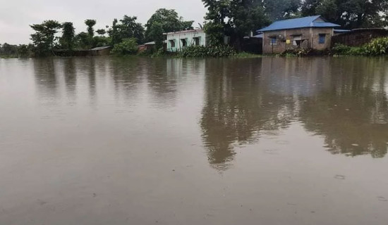 वर्षाले झापाकाे जनजीवन प्रभावित