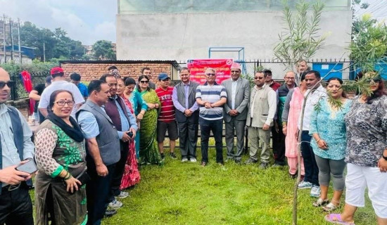 मदन भण्डारी स्मृति उद्यानमा वृक्षारोपण