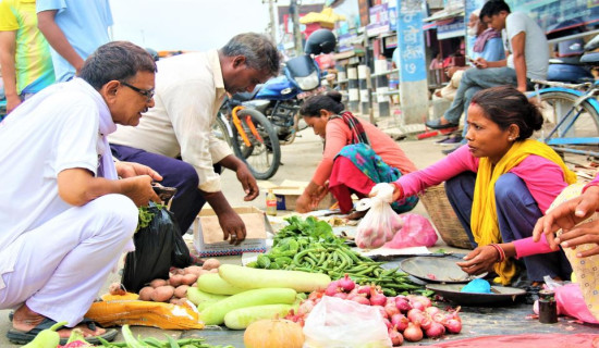 ‘आफ्नै बारीको तरकारीले आत्मनिर्भर बनायो ’