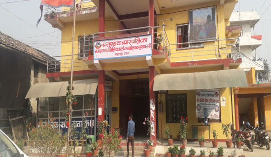 सुनसान बने पालिका कार्यालय