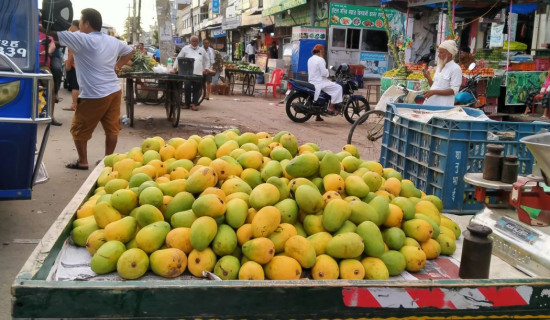 स्थानीय आँपको मूल्य दोब्बरले वृद्धि