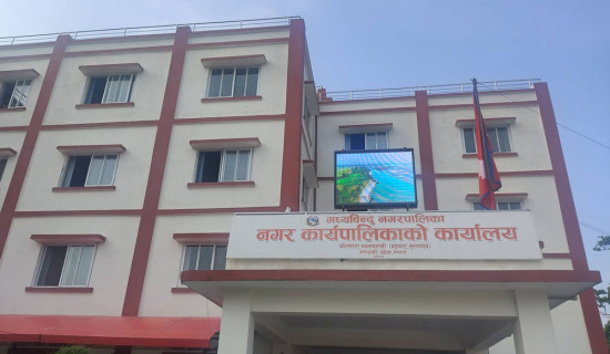 रैथाने बाली संरक्षणमा जुट्दै पालिका