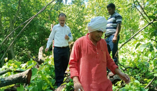 वन फँडानीमा संलग्नलाई छाडिन्न : मन्त्री धामी