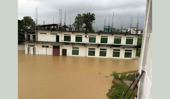 अविरल वर्षाका कारण रामापुर डुबानमा