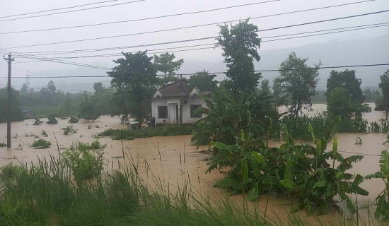 अविरल वर्षातका कारण देउखुरीको अधिकांश भाग डुबानमा