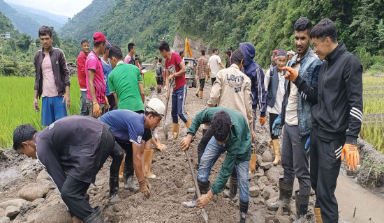 हिलाम्मे सडक मर्मतमा श्रमदान अभियान