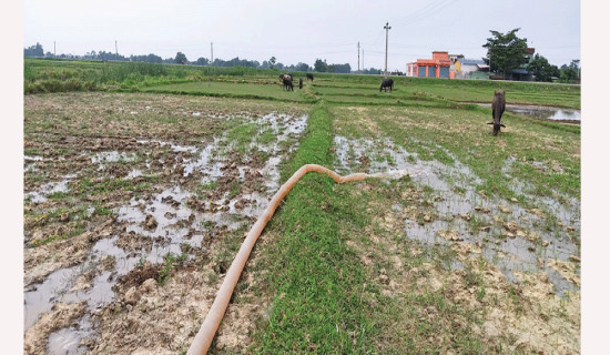 समावेशीकरणको दिशामा एउटा फड्को :  गोरखापत्रद्वारा प्रकाशि अवधी भाषा