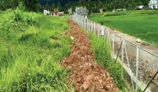 लुम्बिनी क्षेत्रमा सैनामैना र पण्डितपुर समेट्न प्रस्ताव