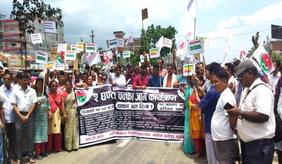 ‘लम्पी स्किन’ रोग नियन्त्रणको माग राखी प्रदर्शन