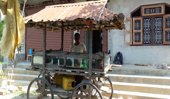 चटपटे बेचेर राम्रो आम्दानी