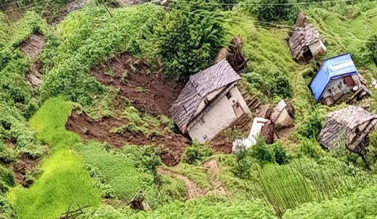 बाढीपहिरोबाट गौमुलका १२ घरपरिवार विस्थापित