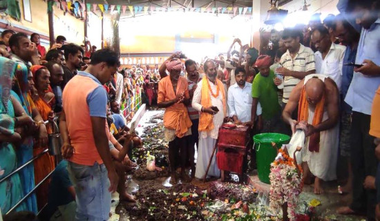 पानी माग्दै किसानले धनुष मन्दिरमा चढाए दुध