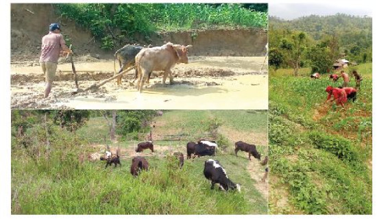 समावेशीकरणको दिशामा एउटा फड्को : गोरखापत्रद्वारा प्रकाशित कुमाल भाषा