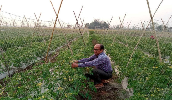 प्राङ्गारिक खेती अभियानमा न्यौपाने