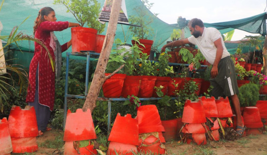 म्यानेजमेन्ट पढेर बिरुवा उमार्दै अर्याल दम्पती