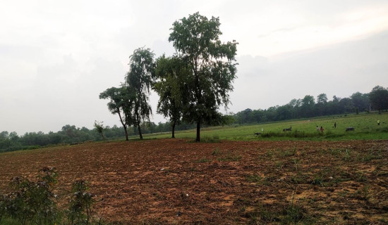 शंकरपुर तालको ३ हेक्टर जग्गा अतिक्रमणमा