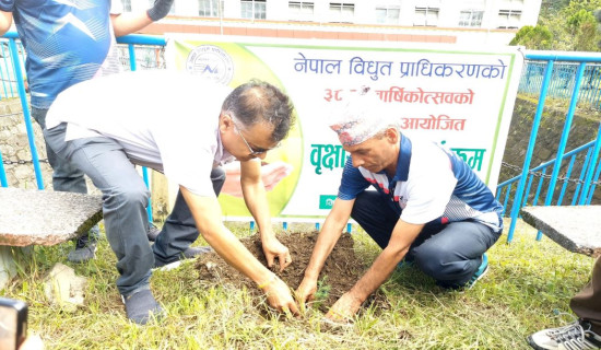 प्राधिकरणको बार्षिकोत्सवमा वृक्षारोपण