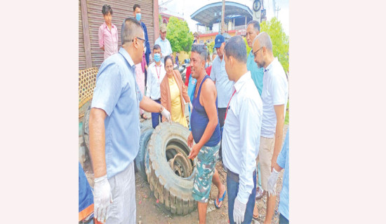 स्थानीय तहले सुरु गरे लार्भा मार्ने अभियान