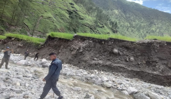 ९० रोपनी धानखेतीमा क्षति