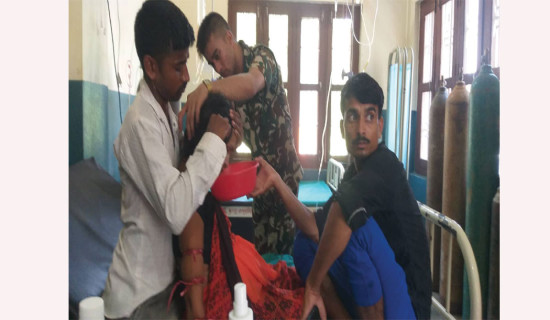 सर्पदंशको जोखिम उच्च : पच्चीस जनाको ज्यान गयो