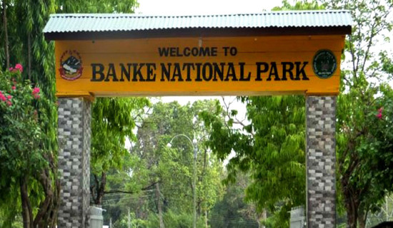 जङ्गली जनावरको आक्रमणबाट एक वर्षमा एकको मृत्यु