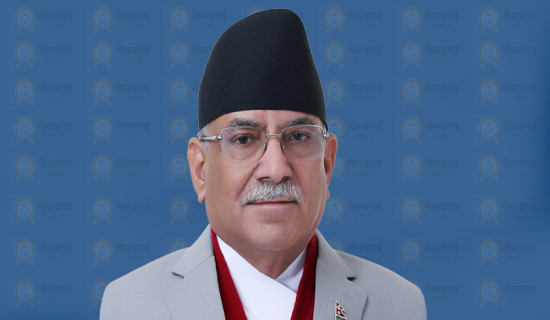 प्रगति विवरण पेस गर्न निर्देशन