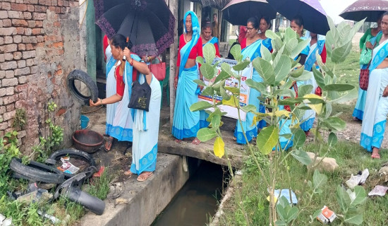 डेंगु फैलाउने लामखुट्टेको लार्भा नष्ट गर्ने अभियान