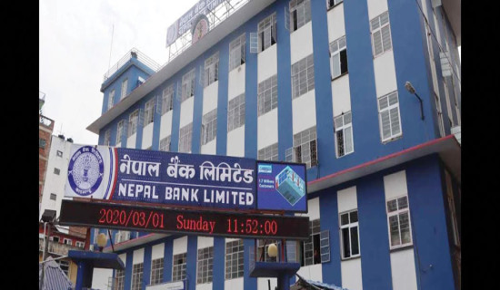 बलियो बन्दै नेपाल बैङ्क