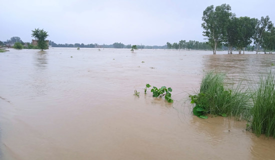 डुबेर एक वृद्धको मृत्यु