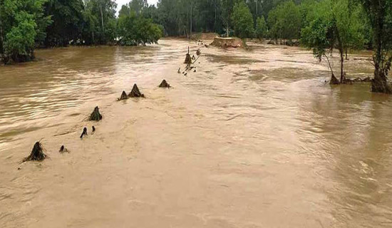 वर्षासँगै विभिन्न नदीमा बाढी,दुई दर्जन बस्ती डुबानमा