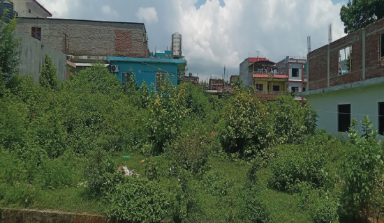सरकारी जग्गा ओगट्ने तर प्रयोग नगर्ने बढे