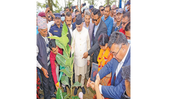 ‘सामुदायिक वनको योगदान महत्त्वपूर्ण’