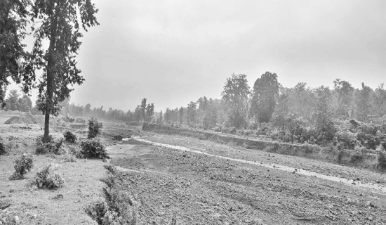 वडाध्यक्ष नै ढुङ्गा तस्करीमा, तटबन्ध निर्माणमा अवरोध