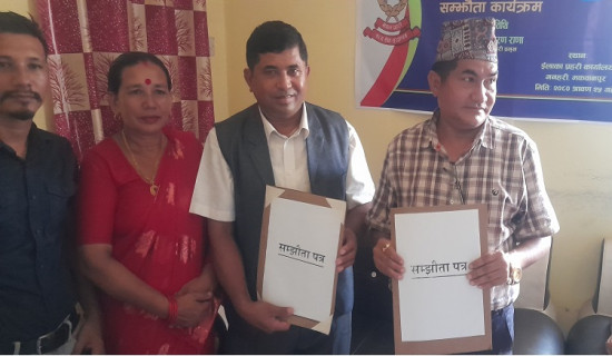 गाँजा र अफिमको विकल्पमा तीन लाख कफीको बिरुवा लगाइँदै