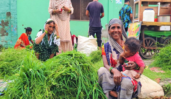 नेपालगन्ज सहर : टाँगा चल्न छाड्यो, घाँस पनि बिक्री हुन छाड्यो