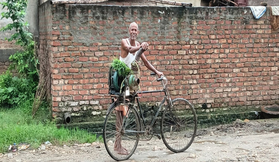 खेतबाटै दमकल चोरी