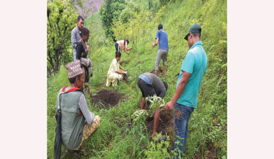 रोपिए एक लाख बिरुवा