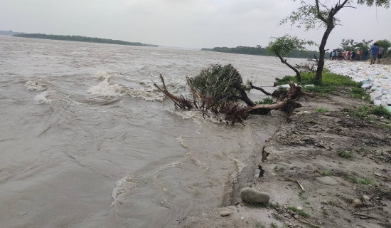 श्रीलङ्का टापुमा कटान तीव्र