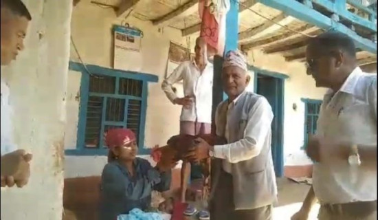 आमालाई कुखुरा, बच्चालाई न्यानो कपडा